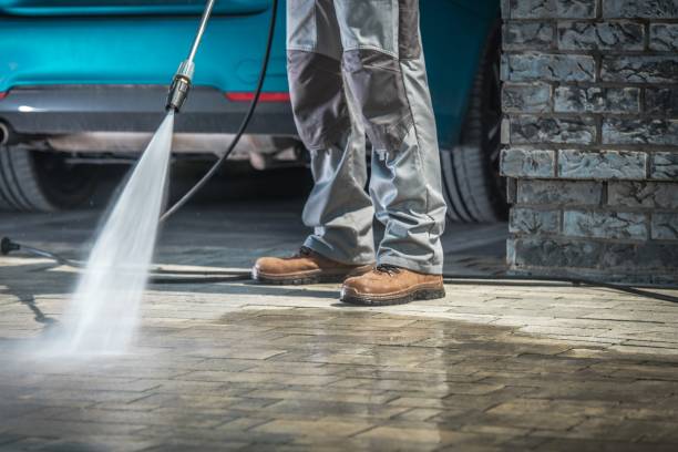 Best Dumpster Area Cleaning  in Toluca, IL