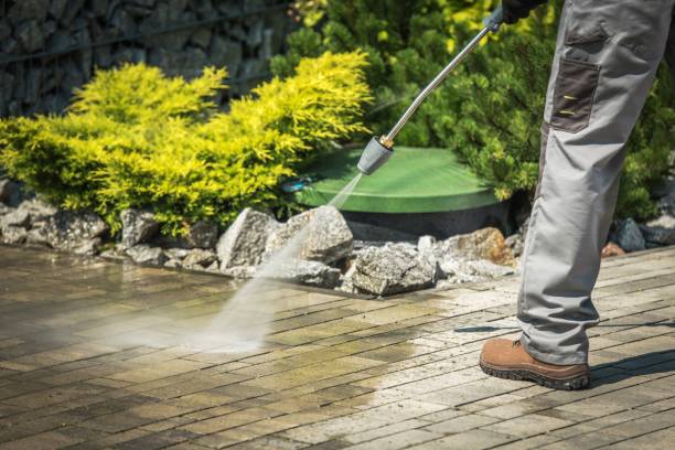 Best Gutter Cleaning  in Toluca, IL