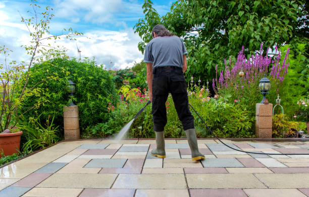 Best Sidewalk and Walkway Cleaning  in Toluca, IL