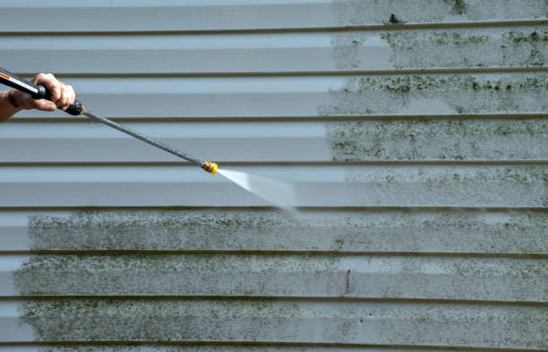 Solar Panel Cleaning in Toluca, IL